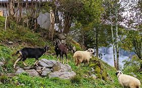 Panoramahof Bergglück