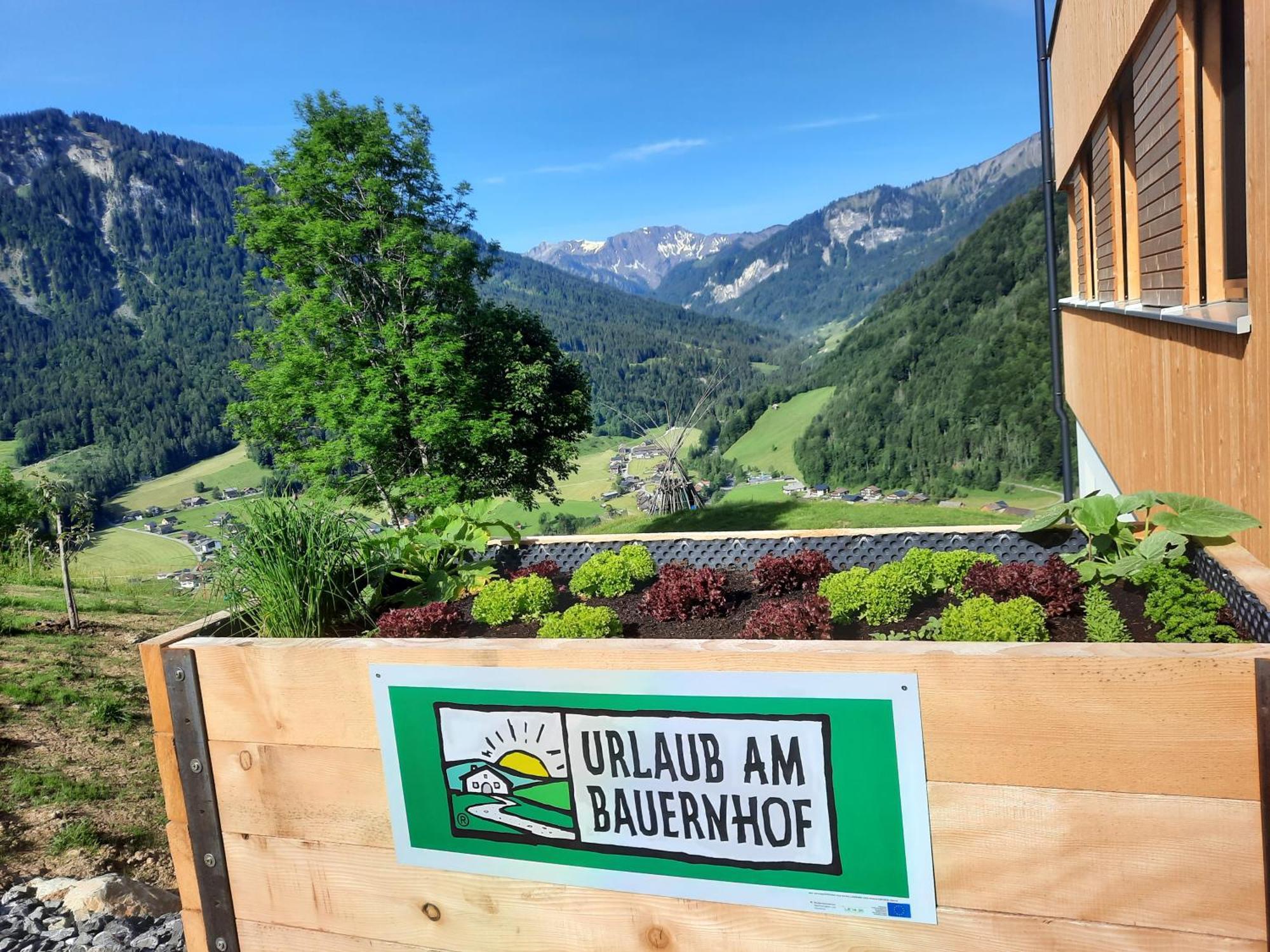 Ferienwohnung Panoramahof Bergglück Mellau Exterior foto